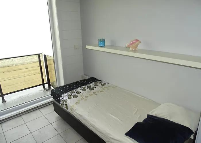 Modern Direct Seaview & Free Parking 奥斯滕德